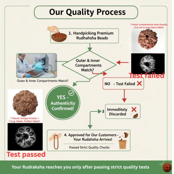7 Mukhi Indonesian Rudraksha 17mm+ – Lab Certified Full Compartment Bead with X-Ray Certificate | Rudraksha-Store